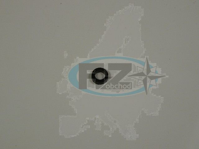T20 / 06 těsnící kroužek
